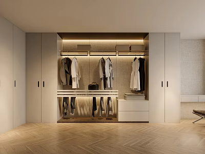 Modern Walk in Closet Interior With Hanging Clothes Cabinets Drawers And Wooden Flooring 3d model