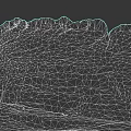 Natural Microtopography of Rocky Cliff with Layered Structure Green Moss and Fallen Leaves