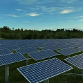Vast Solar Panel Farm With Blue Sky Green Trees In Renewable Energy Field