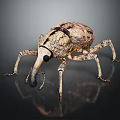 Giant Beetle With Textured Shell Long Snout And Multiple Legs On Dark Reflective Surface 3d model