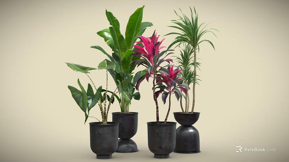 Beautiful Potted Plants With Green And Red Leaves In Black Pots For Home Decor 3d model 