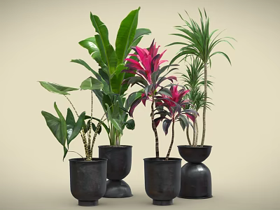 Beautiful Potted Plants With Green And Red Leaves In Black Pots For Home Decor 3d model