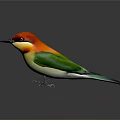 Colorful Bird With Red Head Yellow Throat And Green Back Standing On Black Background
