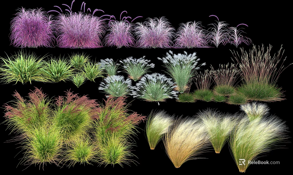 Diverse Ornamental Grasses With Purple Green White And Yellow Hues For Gardens 3d model 