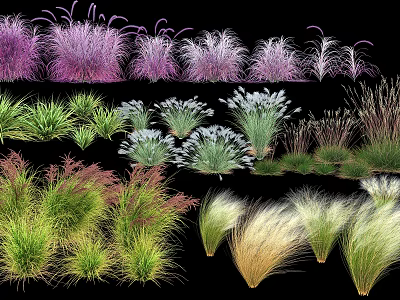 Diverse Ornamental Grasses With Purple Green White And Yellow Hues For Gardens 3d model