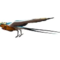 Colorful Blue Flying Bird With Large Wings Yellow Head And Long Tail