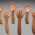 Realistic 3D Models of Human Arms and Hands in Various Poses and Skin Tones