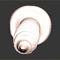 Shiny Rose Gold Metal Screw With Threaded Body Pointed Tip And Reflection On Black Background