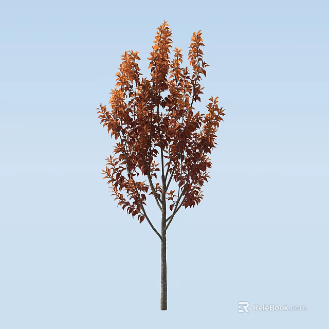 Tall Arbor With Vibrant Orange Red Leaves Standing Against Clear Blue Sky 3d model 