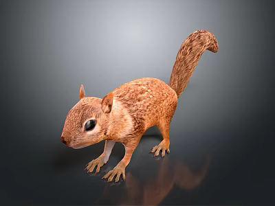 Realistic 3D Squirrel Model With Brown Fur Bushy Tail Standing On Gray Reflective Surface 3d model