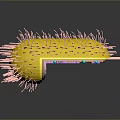 Yellow Bacterial 3D Model With Pink Pili Internal Purple Structure Blue Orange Dots And Tail