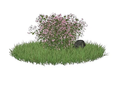 Vibrant Pink Flower Bush Surrounded By Green Grass And Black Stone 3d model