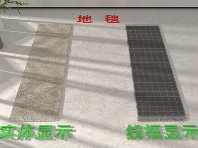 Ground Surface With Two Types Of Carpet Display Solid And Wireframe Styles 3d model