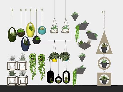 Hanging Bonsai Potted Plants With Various Shaped Planters And Trailing Vines 3d model