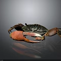 Vibrant Crab With Large Red Claws And Colorful Shell On Dark Background 3d model