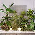 Courtyard Garden Design With Tropical Plants Large Leaves Cactus Globe Lights And Marble Platform