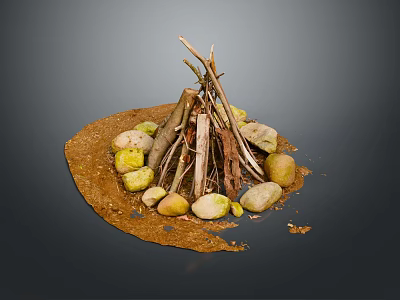 Natural Stacked Arbor Branches Forming Campfire Surrounded by Stones on Earthy Ground 3d model