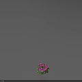 Lush Purple Flower Blooms With Fresh Green Leaves In Vibrant Garden