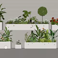 Various Green Plants And Blooming Flowers In White Planters Decorative Arrangement
