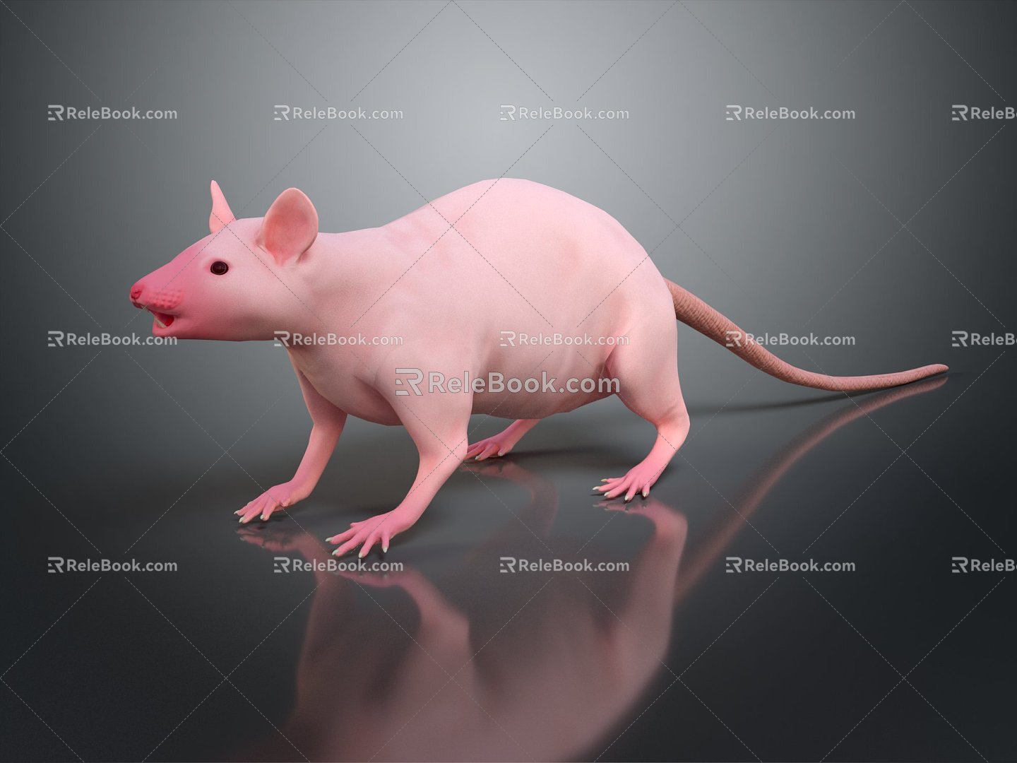 Modern mouse mouse wizard hairless mouse mouse warlock 3d model