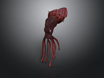 Dark Red Squid 3D Model With Long Tentacles And Realistic Details 3d model