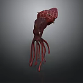 Dark Red Squid 3D Model With Long Tentacles And Realistic Details