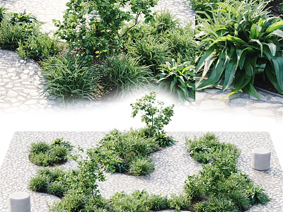 Modern Plant Garden 3d model