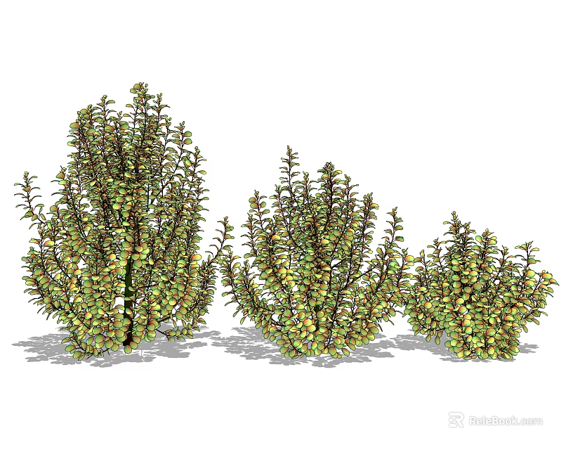 Three Green Shrubs with Lush Dense Foliage for Garden Landscaping 3d model