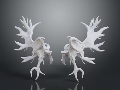 Two Unique White Branch Shaped Decorative Items For Home Decoration 3d model