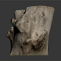 Natural Tree Stump with Rough Textured Wood Surface for Garden Decoration