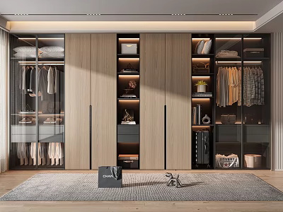 Modern Wardrobe Interior Design With Glass Doors Wooden Panels Hanging Rods And Storage Shelves 3d model