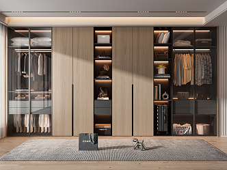 Modern wardrobe 3d model