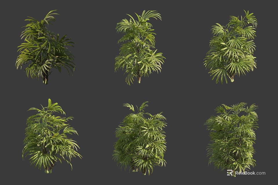 Evergreen Trees With Lush Green Leaves And Different Varieties For Outdoor Garden Design 3d model 