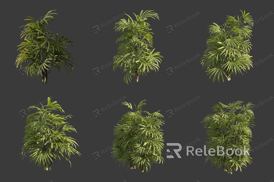 Brown bamboo shrub model