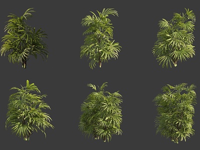 Brown bamboo shrub model