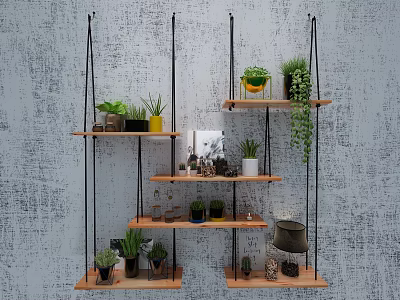 Wall Mounted Wooden Shelves Displaying Various Bonsai Plants and Decorative Items 3d model