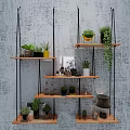 Wall Mounted Wooden Shelves Displaying Various Bonsai Plants and Decorative Items