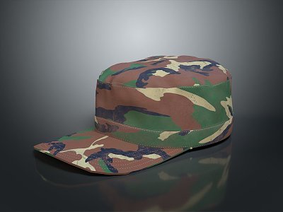 Hat 3d model