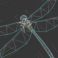 Detailed Blue Dragonfly With Green Head Transparent Wings And Orange Tipped Edges