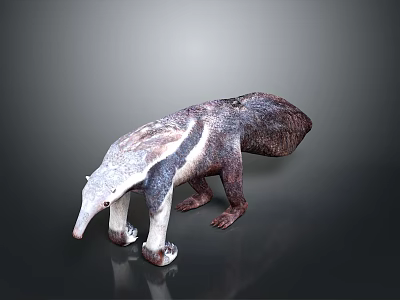 Realistic Anteater 3D Model Render With Detailed Fur And Claws 3d model