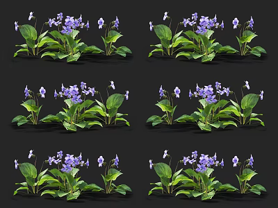 Vibrant Purple Flowers With Lush Green Leaves In Natural Garden 3d model