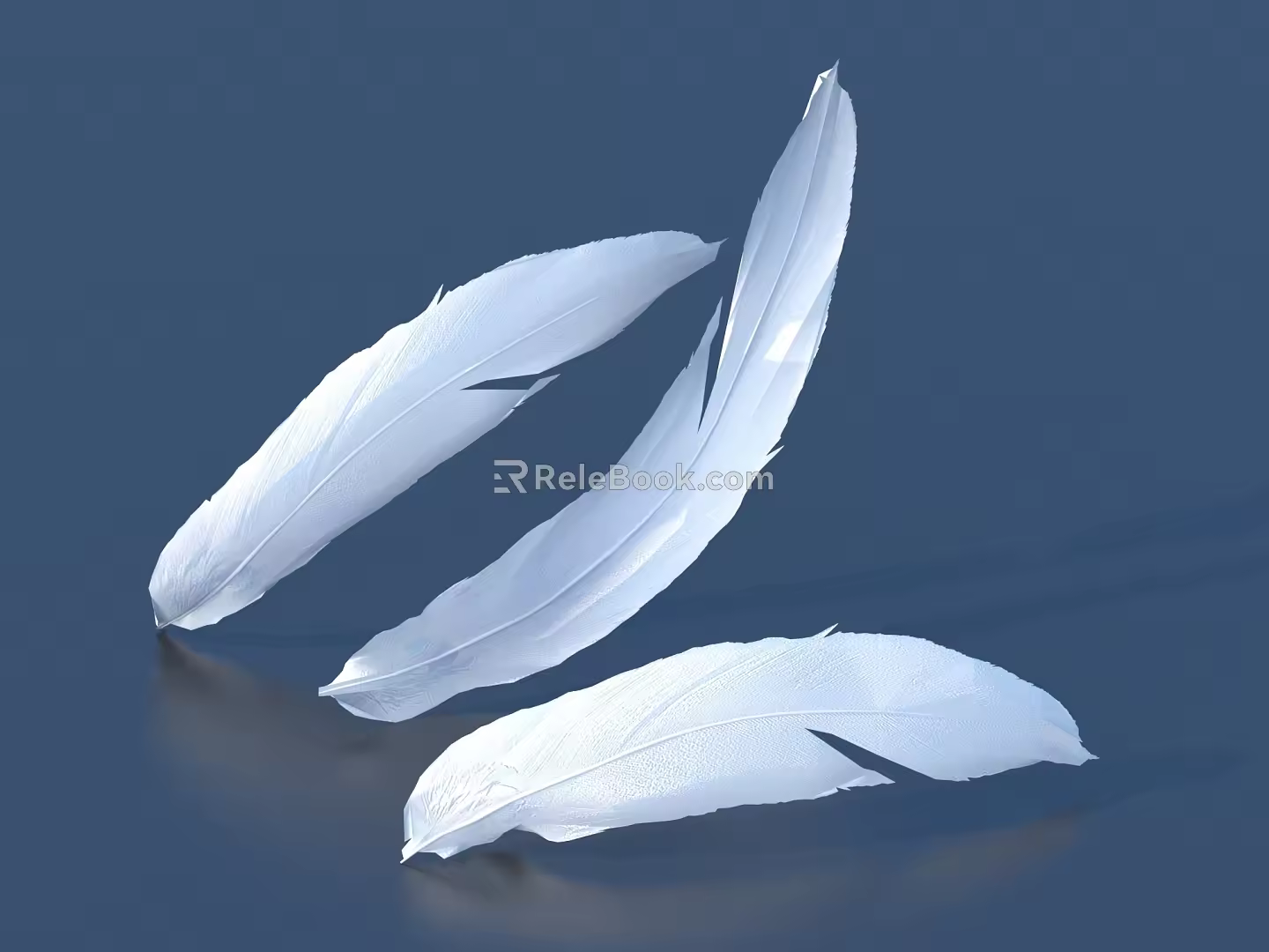 Feathered bird feathers peacock feathers various feathers 3d model