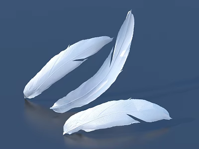 Three Soft White Feathers with Smooth Texture on Dark Reflective Background 3d model
