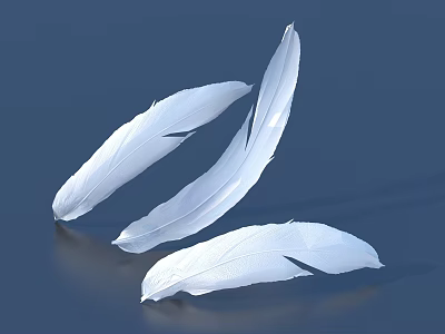 Feathered bird feathers peacock feathers various feathers 3d model