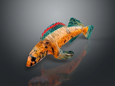 Vibrant Aquatic Animal Colorful Fish With Orange Green Red Fins And Striped Body 3d model