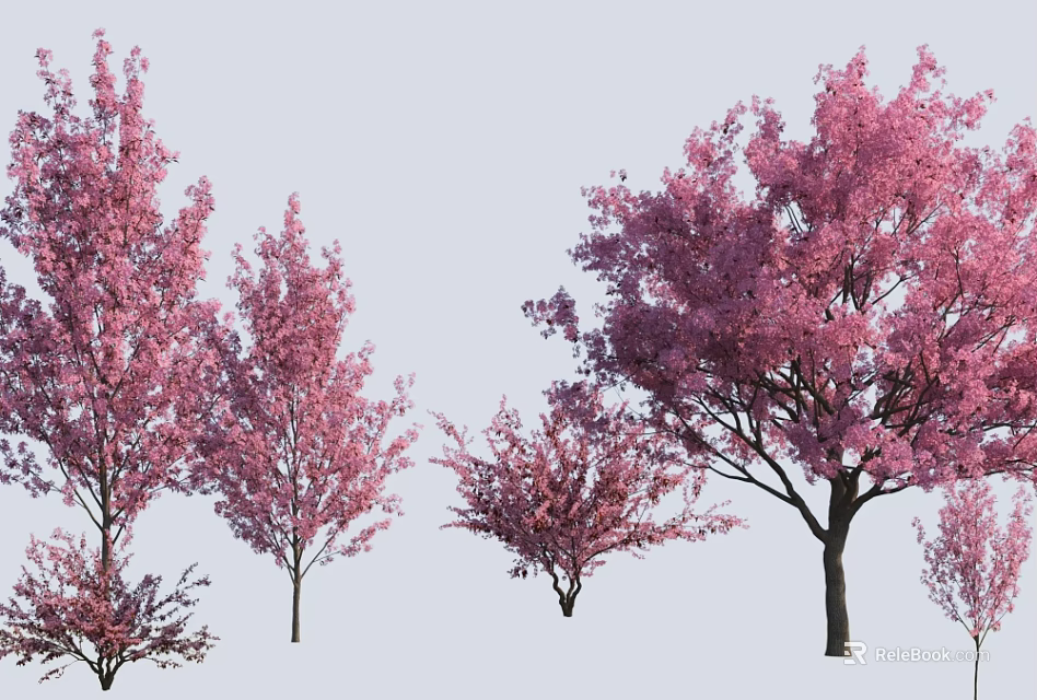 Ornamental Flowering Trees With Pink Blossoms In Various Sizes For Landscaping 3d model 