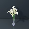 White Calla Lilies Arrangement In Transparent Glass Vase On Dark Surface