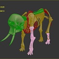 Modern Skeleton Animal Skeleton Elephant Skeleton Elephant Fossils 3d model