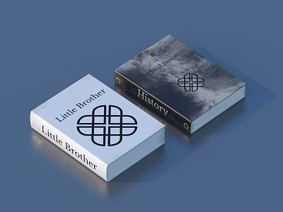 Two Books With Little Brother And History Titles And Geometric Cover Design 3d model