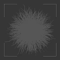 Green Grass with Slender Leaves and Fluffy Appearance in White Flowerpot on Black Background